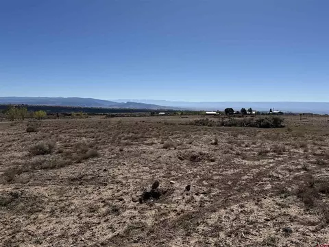 tbd Lot 4 Stardust Ln, Cedaredge, CO 81413 photo 3