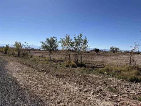 tbd Lot 7 Stardust Ln, Cedaredge, CO 81413