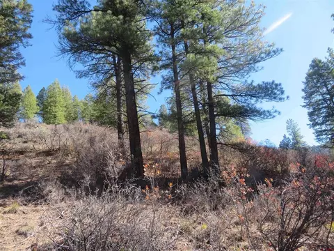 448 Evergreen Dr, Pagosa Springs, CO 81147