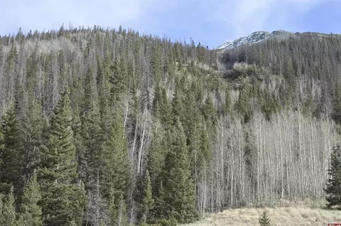 tbd Cr 2 Lupus, Silverton, CO 81433