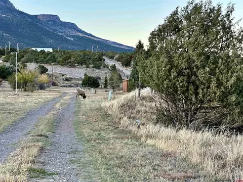 129 Rayburn Rd, South Fork, CO 81154 photo 9
