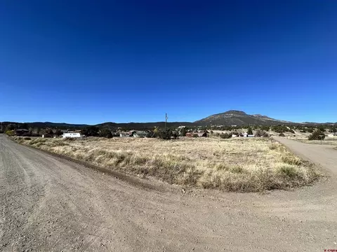 129 Rayburn Rd, South Fork, CO 81154 photo 5