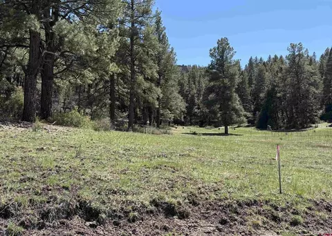 X Winterwood, Pagosa Springs, CO 81147