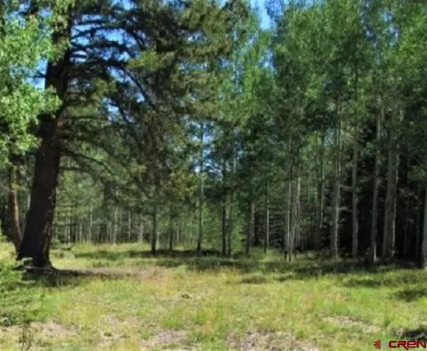 202 Hazel Lake Dr, Cimarron, CO 81220