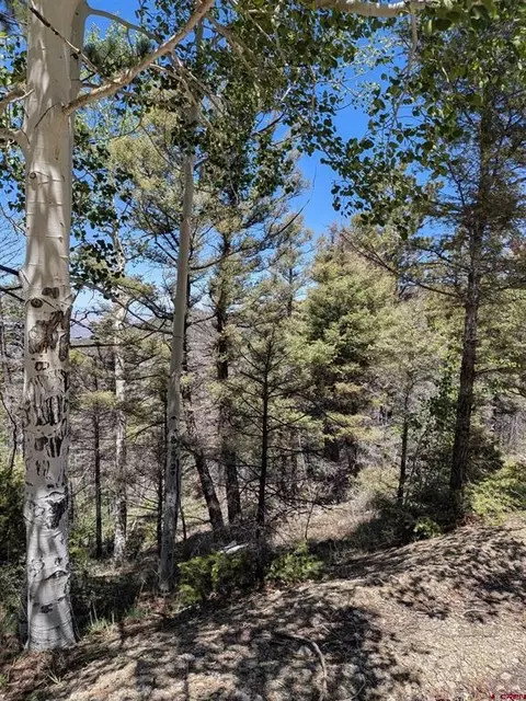 lot5701 Dettman Rd, Fort Garland, CO 81133