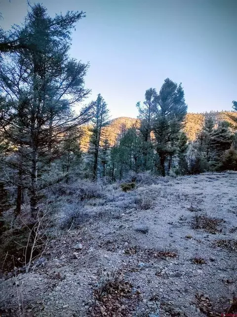 lot5701 Dettman Rd, Fort Garland, CO 81133