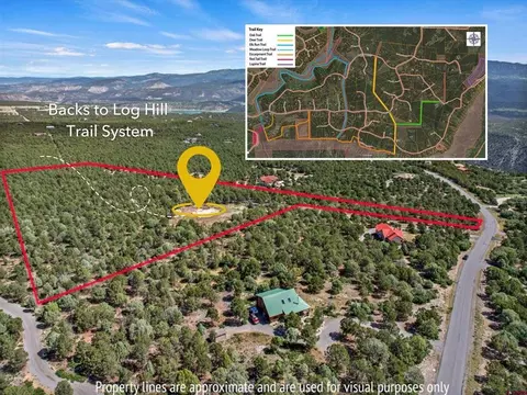 23 Pine Dr, Ridgway, CO 81432