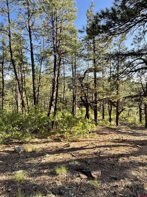 Tbw W Hwy 160, Durango, CO 81301