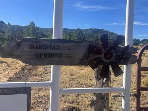 000 Forest Road 19 #MANGITAS SPRINGS RANCH, Silver City, NM 88061