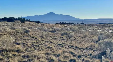 tbd Road 264 #LOT 9, Dolores, CO 81328
