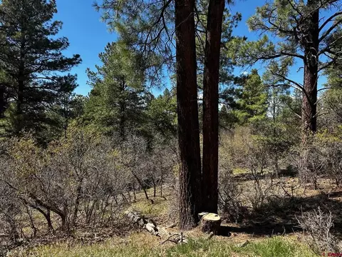 523 Oakridge Dr, Pagosa Springs, CO 81147