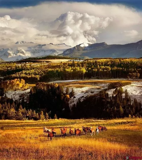 Drr Last Dollar Road, Telluride, CO 81435