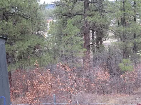 719 E Stollsteimer Rd, Pagosa Springs, CO 81147