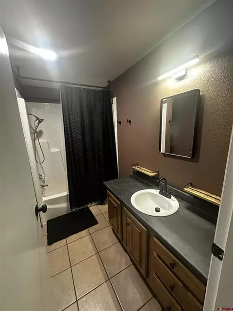 Bath - 199 Timber Dr, Durango, CO 81303 photo 3 of 6
