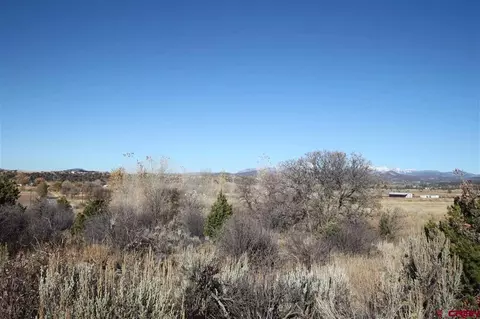 tbd County Road 510, Durango, CO 81303 photo 6