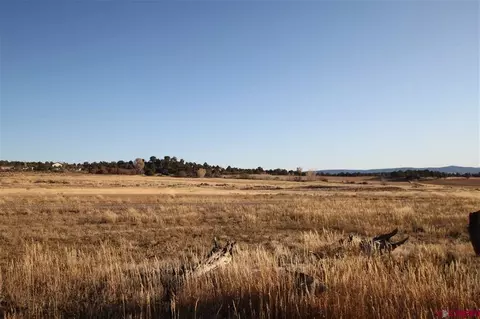 tbd County Road 510, Durango, CO 81303 photo 3