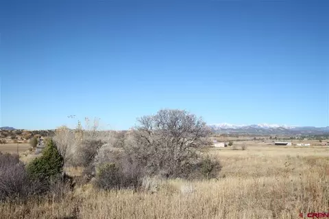 tbd County Road 510, Durango, CO 81303 photo 7