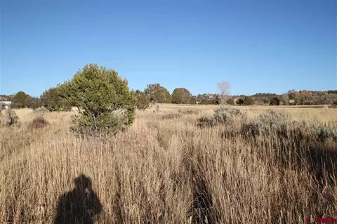 tbd County Road 510, Durango, CO 81303 photo 11