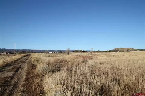 tbd County Road 510, Durango, CO 81303 photo 12