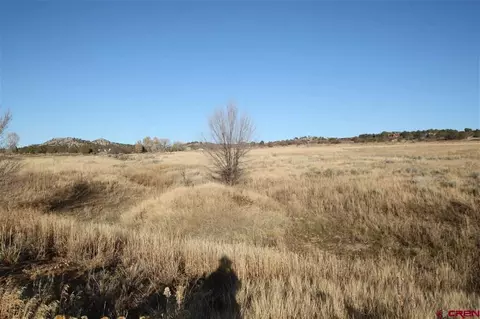 tbd County Road 510, Durango, CO 81303 photo 5