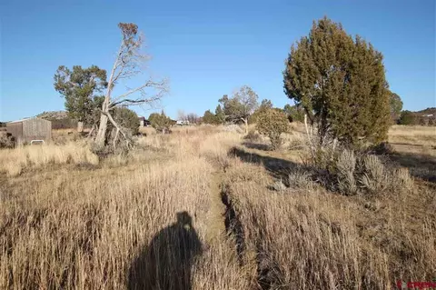 tbd County Road 510, Durango, CO 81303 photo 10
