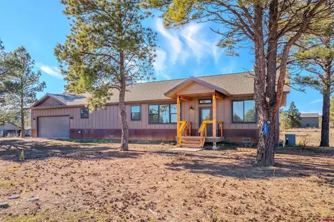 207 Domicile Cir, Pagosa Springs, CO 81147