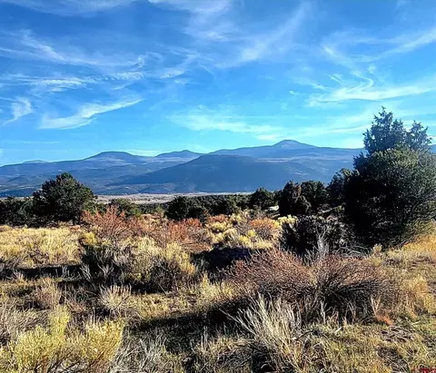 1094 1343 Valley View Rd, South Fork, CO 81154