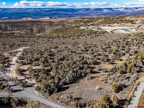 15369 2525 Rd, Cedaredge, CO 81413