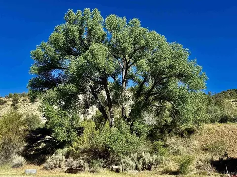 71497198 Cr 213, Durango, CO 81301 photo 22