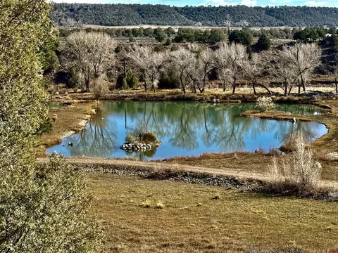 71497198 Cr 213, Durango, CO 81301 photo 43