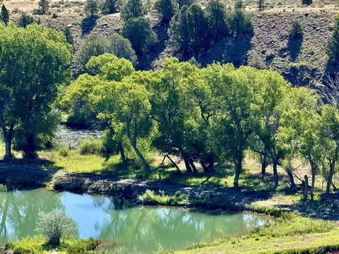 71497198 Cr 213, Durango, CO 81301 photo 40