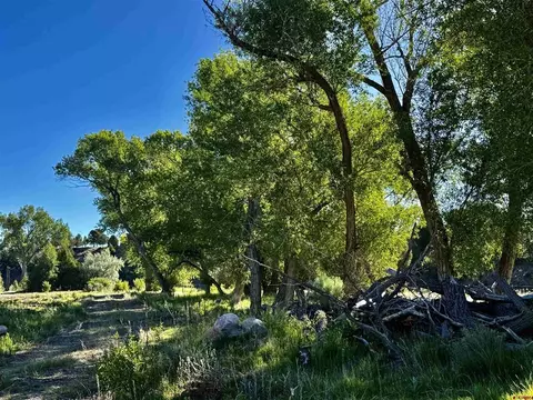 71497198 Cr 213, Durango, CO 81301 photo 12