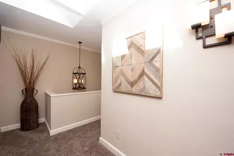 460 Sheol St #17, Durango, CO 81301 photo 22