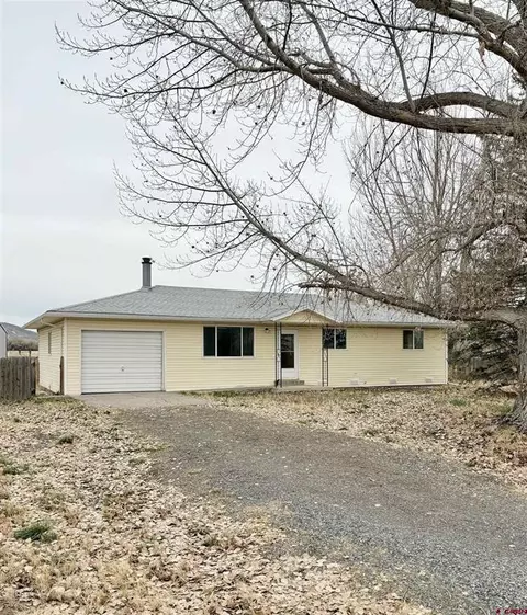 10728 Mesa View Dr, Austin, CO 81410