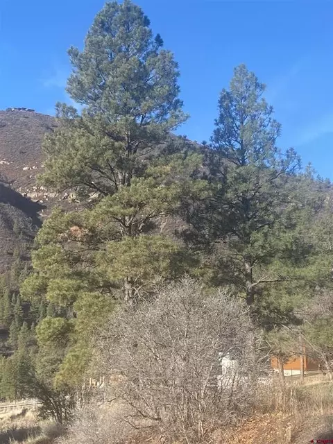 57 Wild Iris, Durango, CO 81301