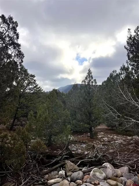 2114 County Road 318, Ignacio, CO 81137 photo 10