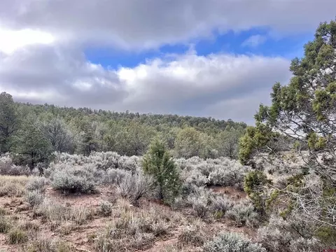 2114 County Road 318, Ignacio, CO 81137 photo 6
