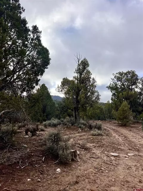 2114 County Road 318, Ignacio, CO 81137 photo 9