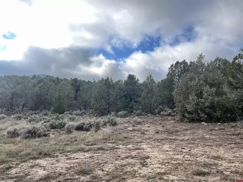 2114 County Road 318, Ignacio, CO 81137 photo 5
