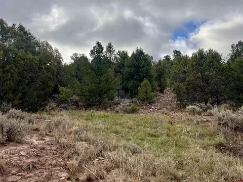 2114 County Road 318, Ignacio, CO 81137 photo 3