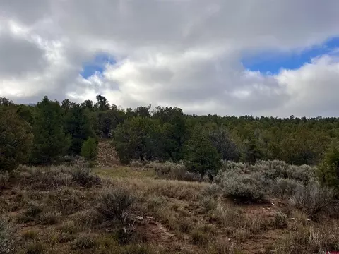 2114 County Road 318, Ignacio, CO 81137 photo 2