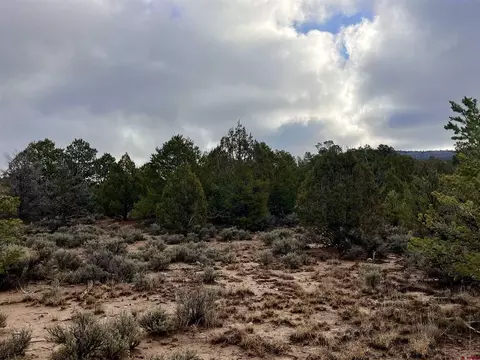 2114 County Road 318, Ignacio, CO 81137 photo 8
