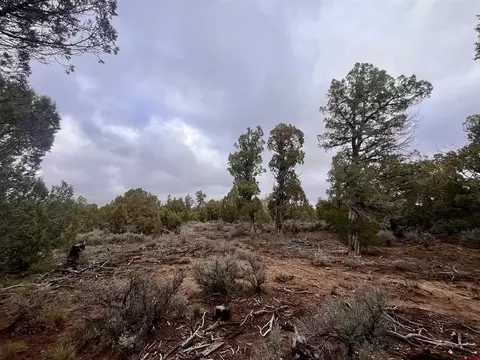 2114 County Road 318, Ignacio, CO 81137 photo 7