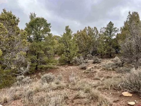 2114 County Road 318, Ignacio, CO 81137 photo 4