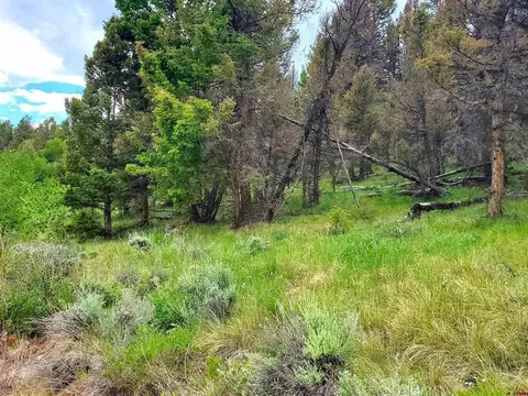 381 Monarch Rd, Powderhorn, CO 81243