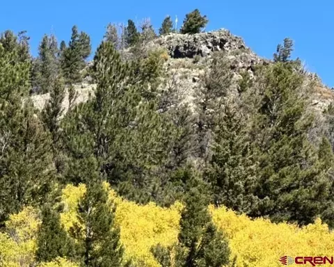 4462 County Road 25, Powderhorn, CO 81243