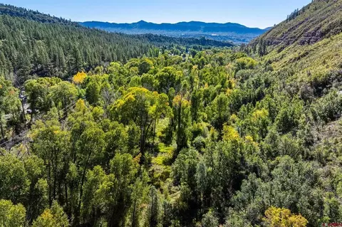 441 County Road 204, Durango, CO 81301 photo 23