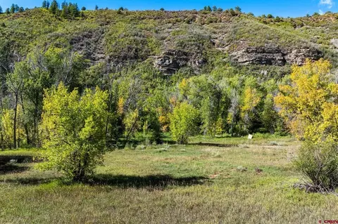 441 County Road 204, Durango, CO 81301 photo 29