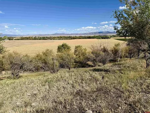 tbd 5500 Rd, Olathe, CO 81425 photo 4