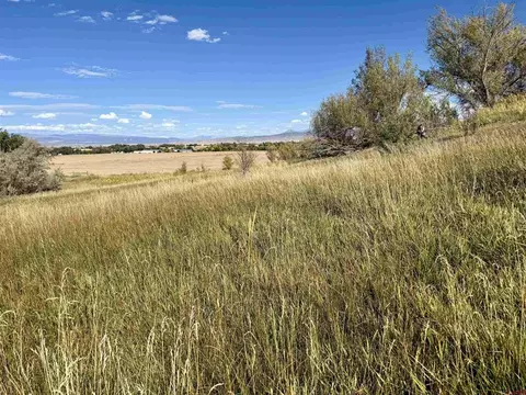 tbd 5500 Rd, Olathe, CO 81425 photo 19